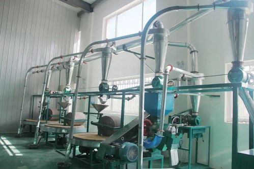 那山那水我代言 石磨加工工藝與現代工藝的完美結合