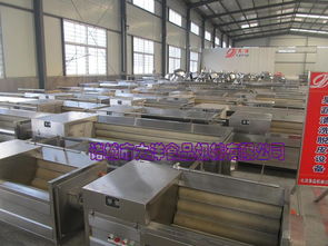 毛刷式刮魚鱗機(jī),物美價廉的魚鱗處理設(shè)備