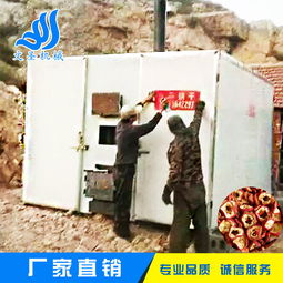 環(huán)保高效食品烘乾爐新型山楂加工設(shè)備乾果箱式乾燥設(shè)備生產(chǎn)廠家